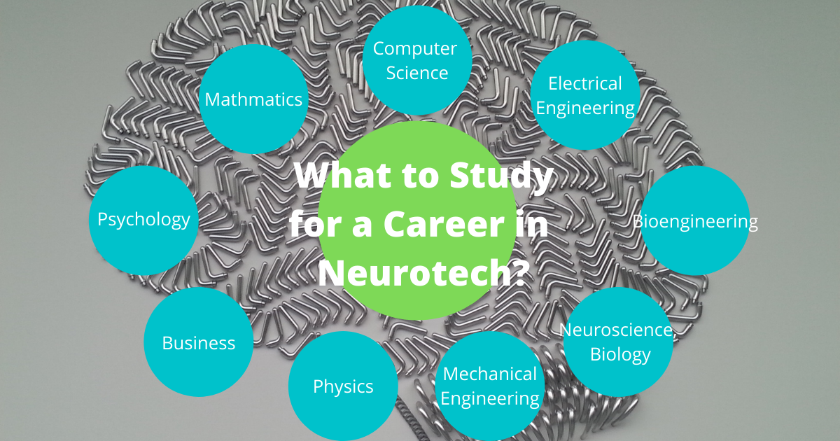 NeurotechJP bannar What to Study for a Career in Neurotech?